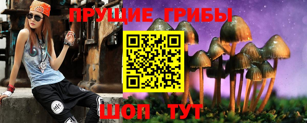 купить наркоту  Галлюциногенные грибы GOLDEN TEACHER  Вход с VPN  Владимир 