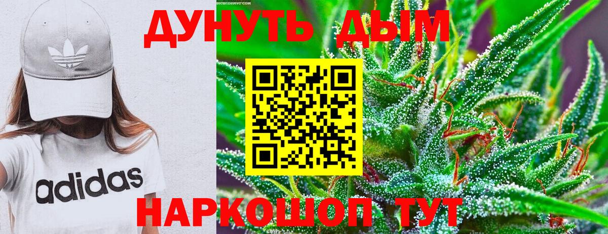 Бошки марихуана планчик Владимир